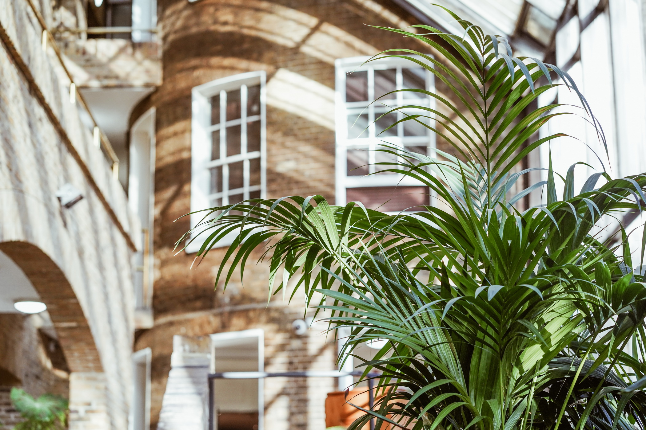 Estates, Offices To Let, Prestigious Georgian & Victorian Offices, Natural Light, Modern Offices, Workspaces